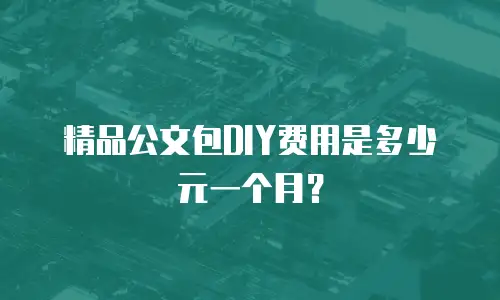 精品公文包DIY费用是多少元一个月？