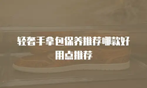轻奢手拿包保养推荐哪款好用点推荐