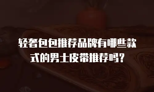 轻奢包包推荐品牌有哪些款式的男士皮带推荐吗？