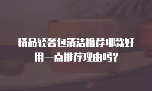 精品轻奢包清洁推荐哪款好用一点推荐理由吗？