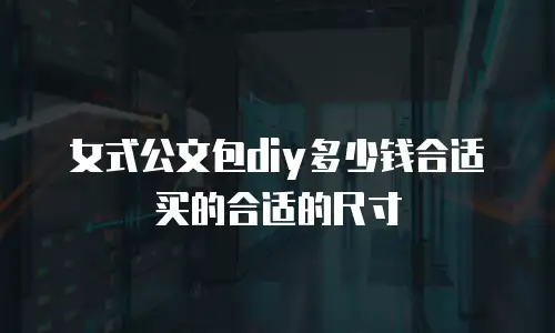 女式公文包diy多少钱合适买的合适的尺寸