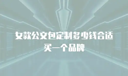 女款公文包定制多少钱合适买一个品牌