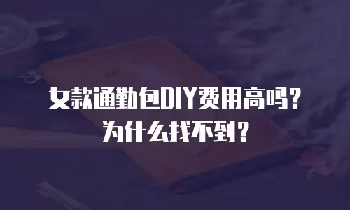 女款通勤包DIY费用高吗？为什么找不到？
