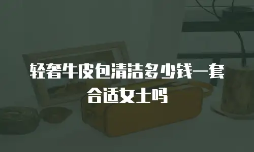 轻奢牛皮包清洁多少钱一套合适女士吗