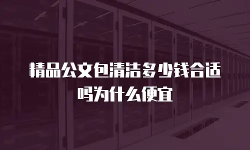精品公文包清洁多少钱合适吗为什么便宜