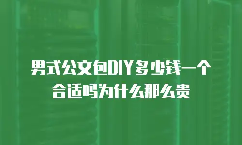 男式公文包DIY多少钱一个合适吗为什么那么贵
