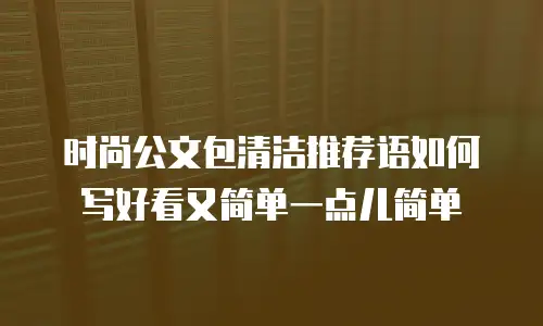 时尚公文包清洁推荐语如何写好看又简单一点儿简单