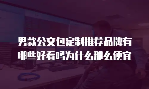 男款公文包定制推荐品牌有哪些好看吗为什么那么便宜