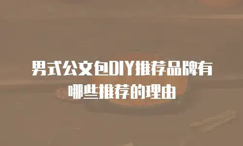 男式公文包DIY推荐品牌有哪些推荐的理由