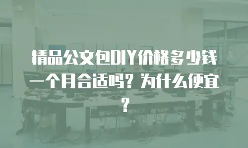 精品公文包DIY价格多少钱一个月合适吗？为什么便宜？