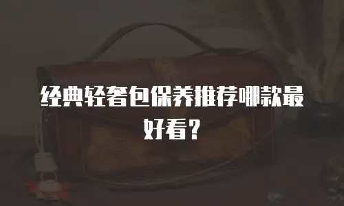 经典轻奢包保养推荐哪款最好看？