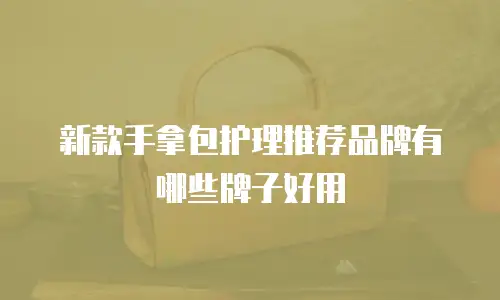 新款手拿包护理推荐品牌有哪些牌子好用