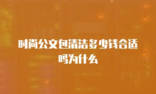 时尚公文包清洁多少钱合适吗为什么