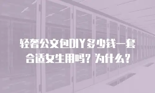 轻奢公文包DIY多少钱一套合适女生用吗？为什么？