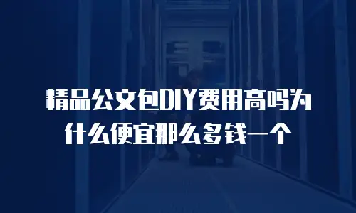 精品公文包DIY费用高吗为什么便宜那么多钱一个