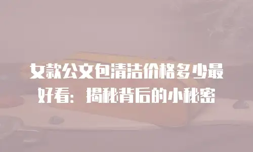 女款公文包清洁价格多少最好看：揭秘背后的小秘密