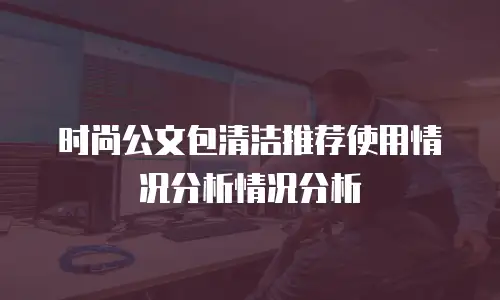 时尚公文包清洁推荐使用情况分析情况分析