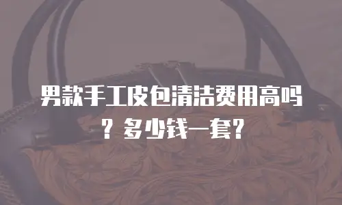 男款手工皮包清洁费用高吗？多少钱一套？