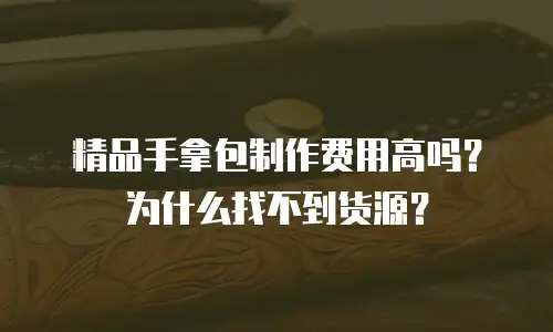精品手拿包制作费用高吗？为什么找不到货源？