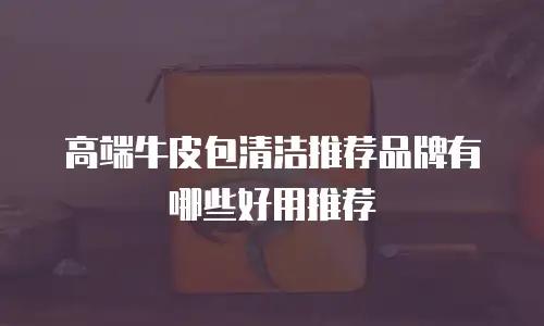 高端牛皮包清洁推荐品牌有哪些好用推荐
