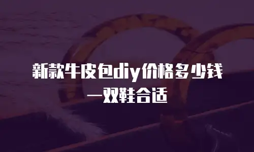 新款牛皮包diy价格多少钱一双鞋合适