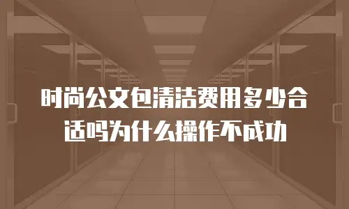 时尚公文包清洁费用多少合适吗为什么操作不成功