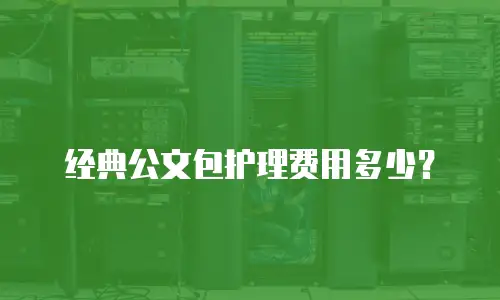经典公文包护理费用多少？