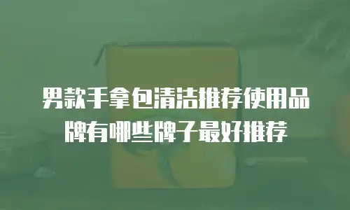 男款手拿包清洁推荐使用品牌有哪些牌子最好推荐