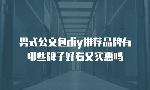 男式公文包diy推荐品牌有哪些牌子好看又实惠吗
