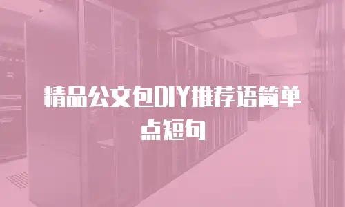 精品公文包DIY推荐语简单点短句