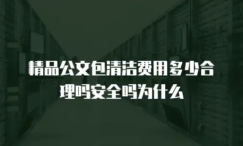 精品公文包清洁费用多少合理吗安全吗为什么