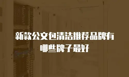 新款公文包清洁推荐品牌有哪些牌子最好
