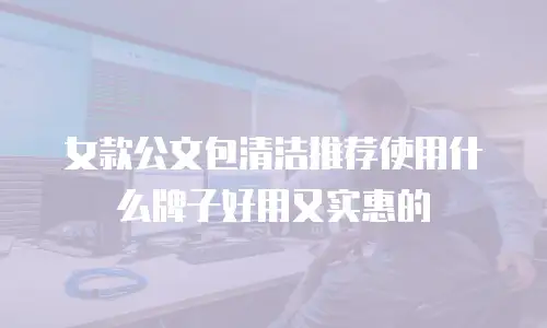 女款公文包清洁推荐使用什么牌子好用又实惠的