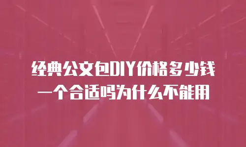 经典公文包DIY价格多少钱一个合适吗为什么不能用