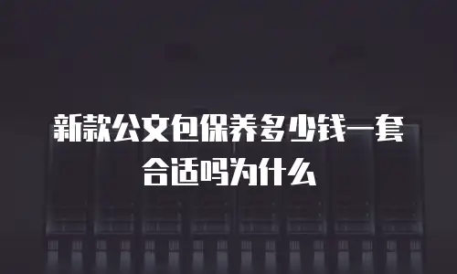 新款公文包保养多少钱一套合适吗为什么
