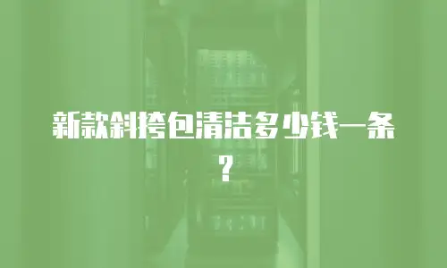 新款斜挎包清洁多少钱一条？