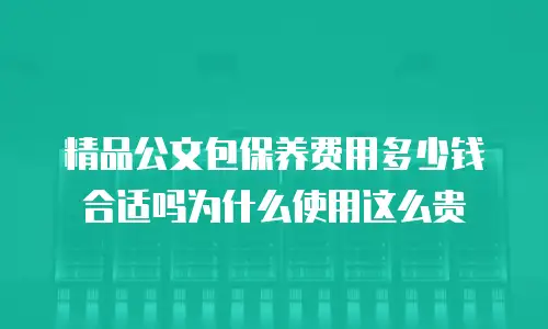 精品公文包保养费用多少钱合适吗为什么使用这么贵