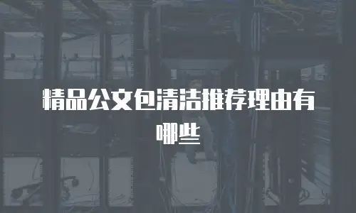 精品公文包清洁推荐理由有哪些