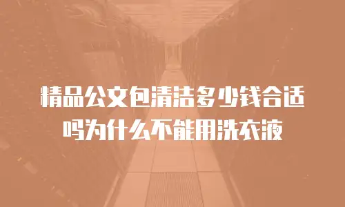精品公文包清洁多少钱合适吗为什么不能用洗衣液