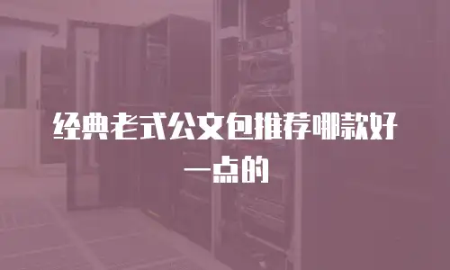 经典老式公文包推荐哪款好一点的