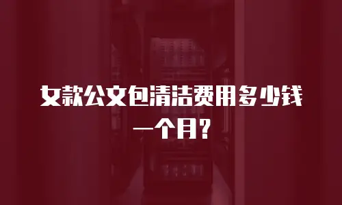 女款公文包清洁费用多少钱一个月？