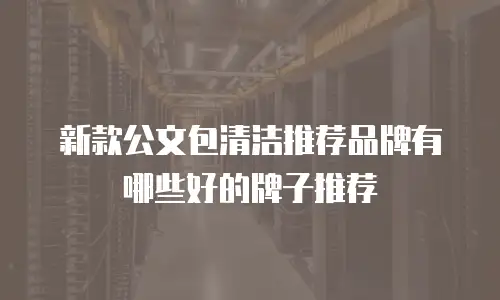 新款公文包清洁推荐品牌有哪些好的牌子推荐