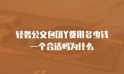 轻奢公文包DIY费用多少钱一个合适吗为什么
