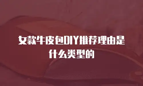 女款牛皮包DIY推荐理由是什么类型的