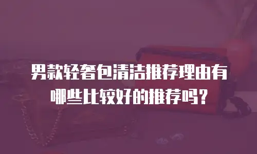 男款轻奢包清洁推荐理由有哪些比较好的推荐吗？