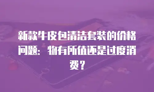 新款牛皮包清洁套装的价格问题：物有所值还是过度消费？
