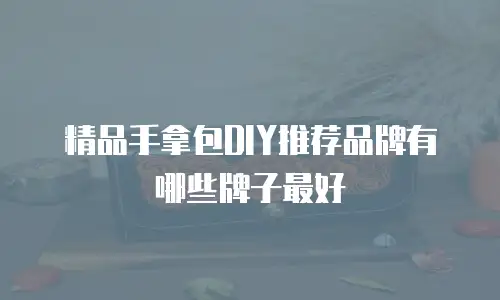 精品手拿包DIY推荐品牌有哪些牌子最好