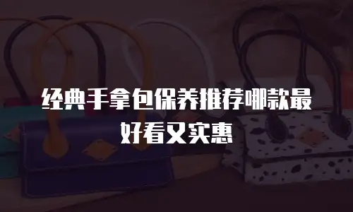 经典手拿包保养推荐哪款最好看又实惠