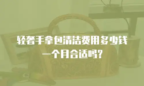 轻奢手拿包清洁费用多少钱一个月合适吗？