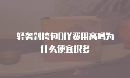轻奢斜挎包DIY费用高吗为什么便宜很多